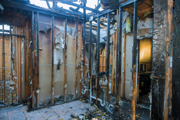 Professional Smoke Damage Removal technician working in Westlake Village, CA
